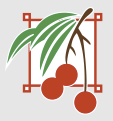 Lychee