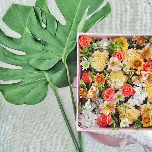 Halloumi Salad (veg)